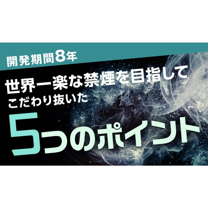 Rien pipe 離煙パイプ GR/GS 31本セット 禁煙グッズ 簡単禁煙 減煙 ストレスフリー 取り付けるだけ ニコチンカット 禁煙パイプ 禁煙パイポ｜magical-inc｜12