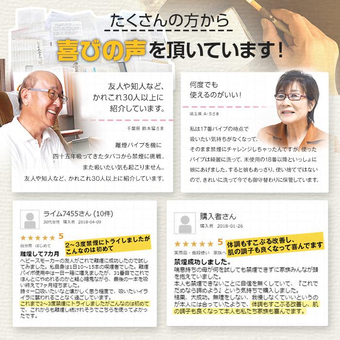 Rien pipe 離煙パイプ GR/GS 31本セット 禁煙グッズ 簡単禁煙 減煙 