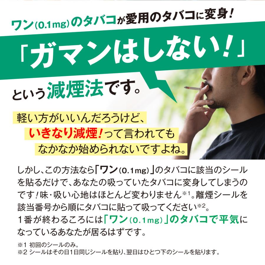 禁煙 禁煙グッズ 離煙シール30(ニコチン1.2〜0.9ｍｇの人用) 禁煙パイポ 禁煙パイプ Rien pipe 離煙パイプ｜magical-inc｜04