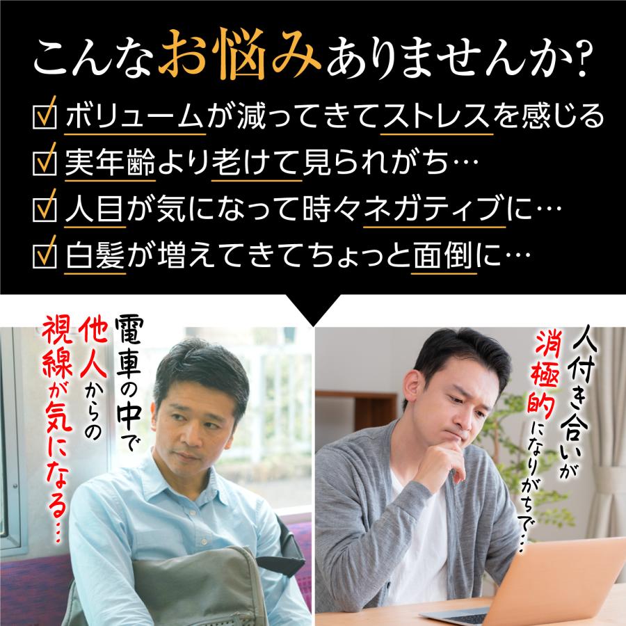 増毛パウダー ボリュームアップ MAG aladdin ファイバー 薄毛対策 白髪