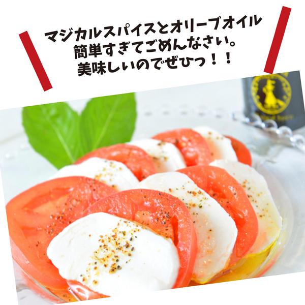 マジカルスパイス詰替3袋セット 送料無料 7 マジカルスパイス公式サイト 通販 Yahoo ショッピング