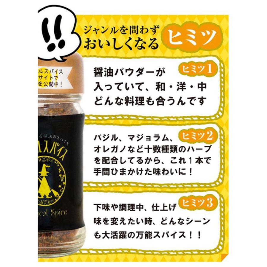 マジカルスパイス詰替3袋セット 送料無料 7 マジカルスパイス公式サイト 通販 Yahoo ショッピング