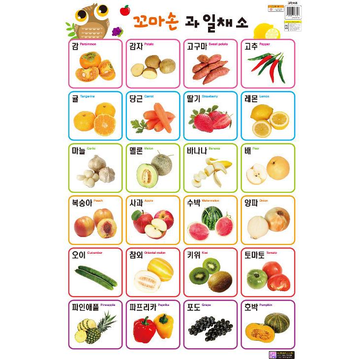 韓国語 幼児向け 本 子供の手の壁絵張り紙 果物野菜 韓国本 心のオアシス 通販 Yahoo ショッピング