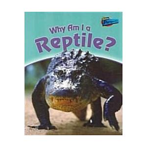 Why Am I a Reptile? (Paperback) | 
