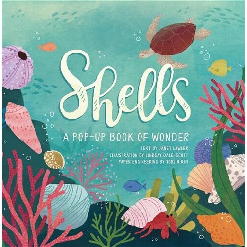 Shells: A Pop-Up Book of Wonder (Hardcover) : 心のオアシス - 通販 - Yahoo!ショッピング