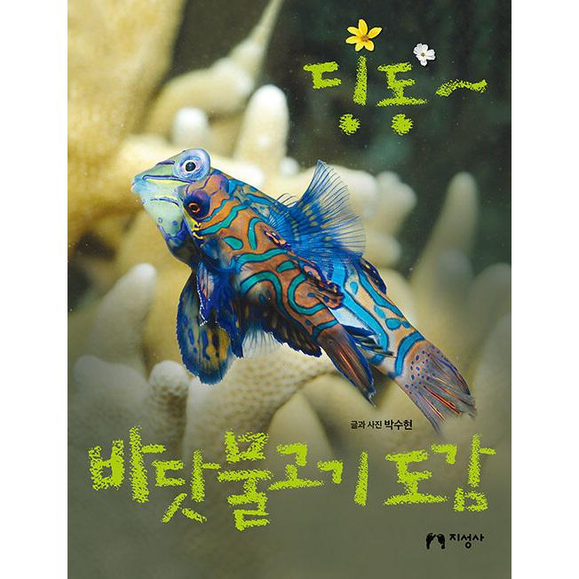 韓国語 幼児向け 本 ディンドン 海水魚図鑑 韓国本 心のオアシス 通販 Yahoo ショッピング