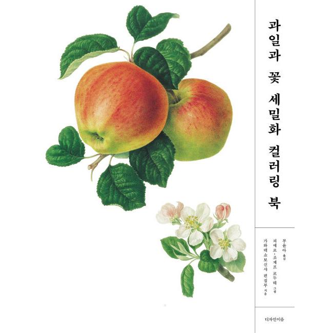 韓国語 本 『果物や花細密画カラーリングブック』 韓国本｜magicdoor