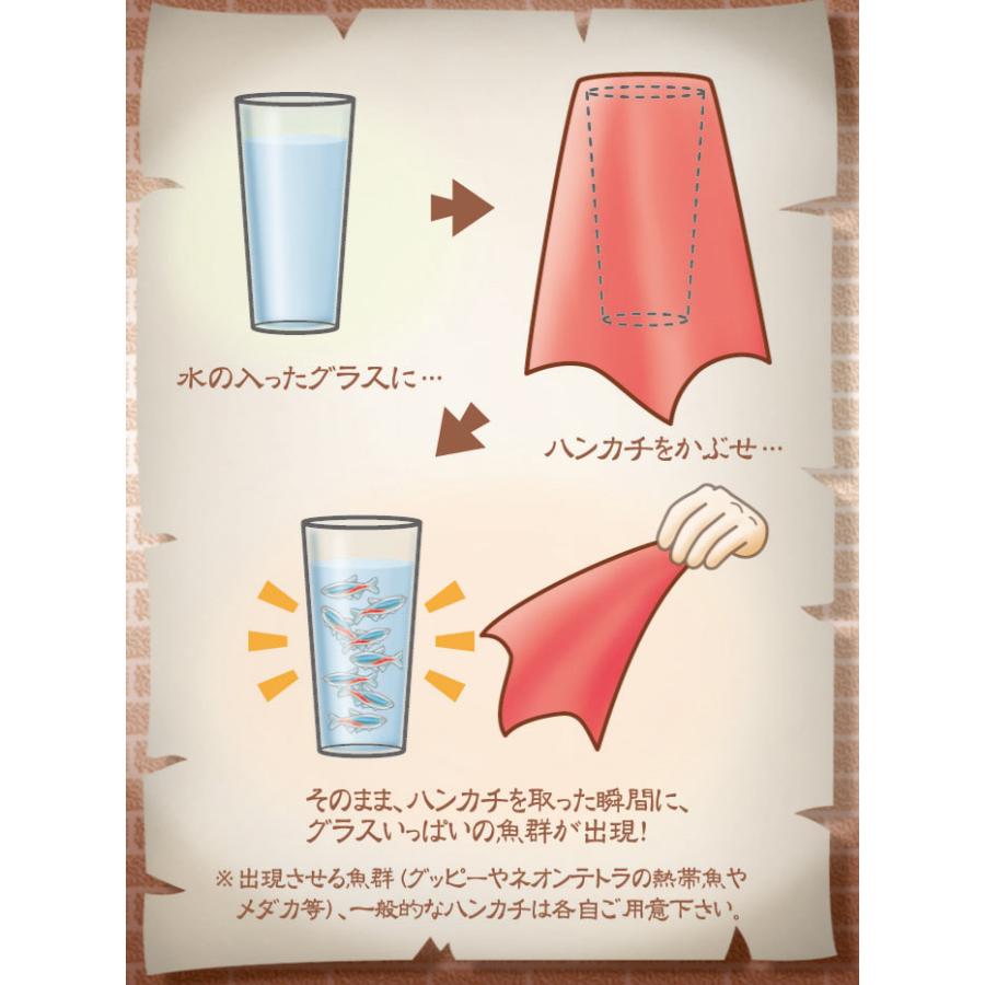 手品・マジック 今日からマジシャン いきなり魚群 G1007 : マジック