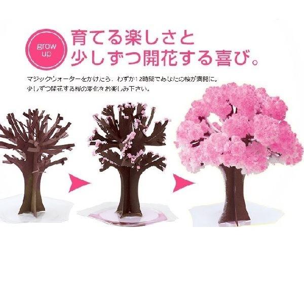 Magic桜 マジック桜 紙製 桜の木 さくら パーティーグッズ : コスプレ