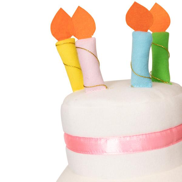 バースデーケーキハット 誕生日 ハット 帽子 バースデーハット 男女兼用 |  | 09