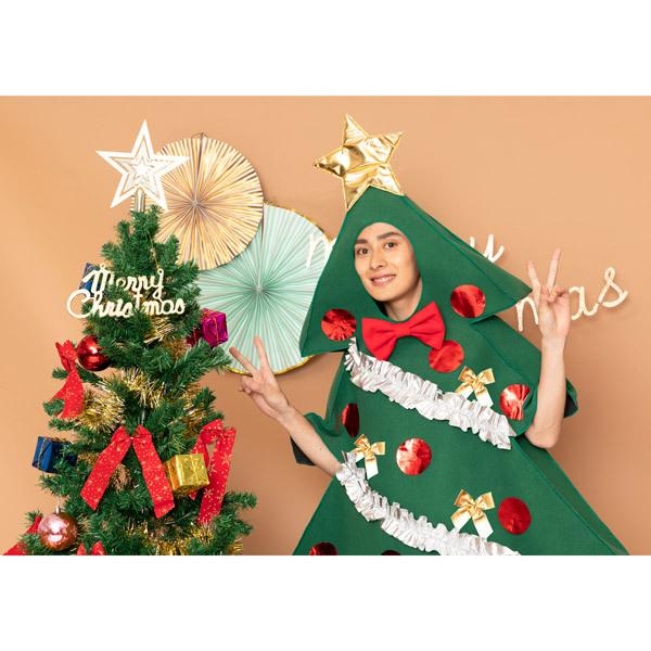 スーパーツリーマン クリスマスツリー 着ぐるみ コスチューム もみの木 衣装 緑色 グリーン 男女兼用 |  | 07