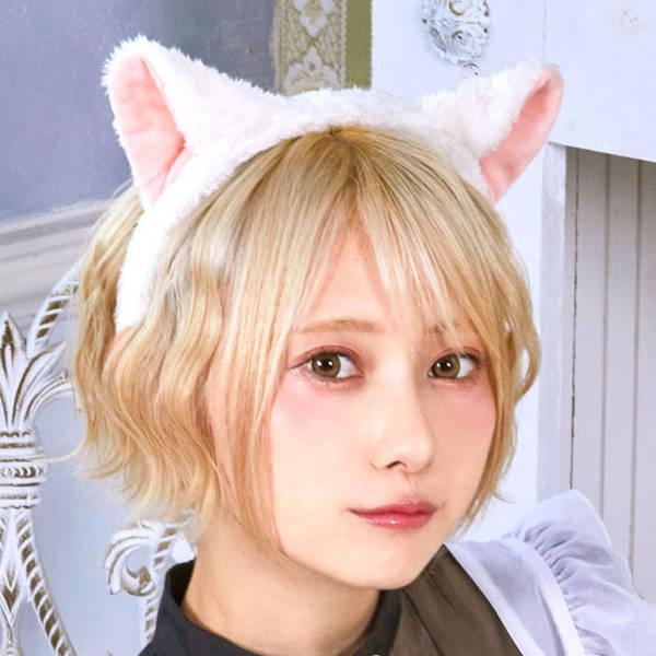 もふもふアニマルセット 白ねこ 白猫 しろねこ 動物 ネコ