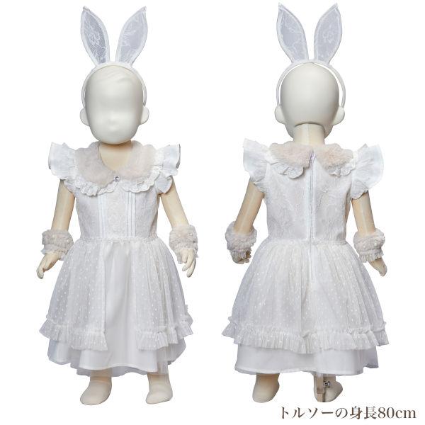 奉仕品 グレースチャーム パウダーバニー ベビー うさぎ ハロウィン 仮装 コスプレ 衣装 女の子 赤ちゃん 85サイズ 90サイズ 95サイズ 2歳 3歳 返品不可 |  | 02