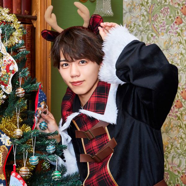 マニフィックノエル チェックトナカイ クリスマス 馴鹿 動物 アニマル