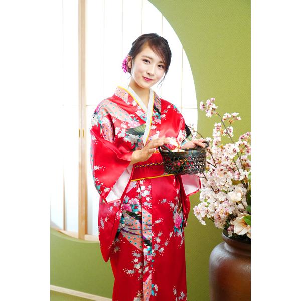 レディース着物 赤孔雀 仮装用 着物 コスプレ 衣装 帯は紐を結ぶ