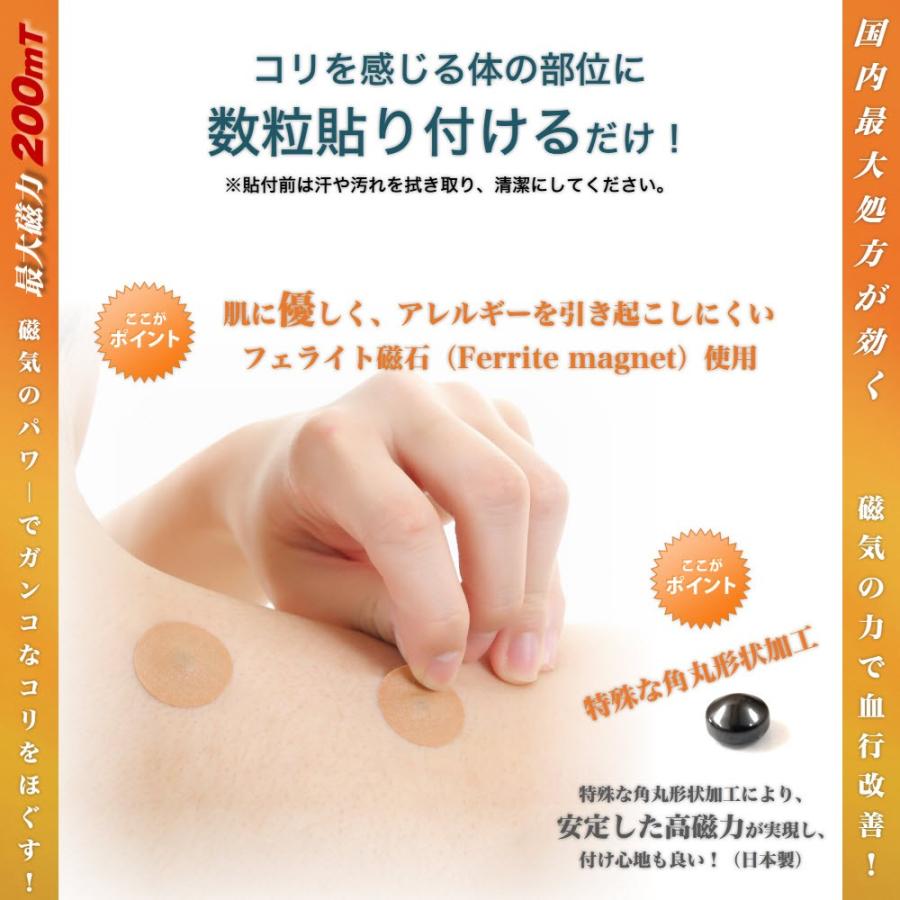 【送料無料】マグマックスBAN マグネットバン MAGMAX200 磁気のパワーでガンコなコリをほぐす 国内最大処方・最大磁束200mT (24粒入) |  | 01
