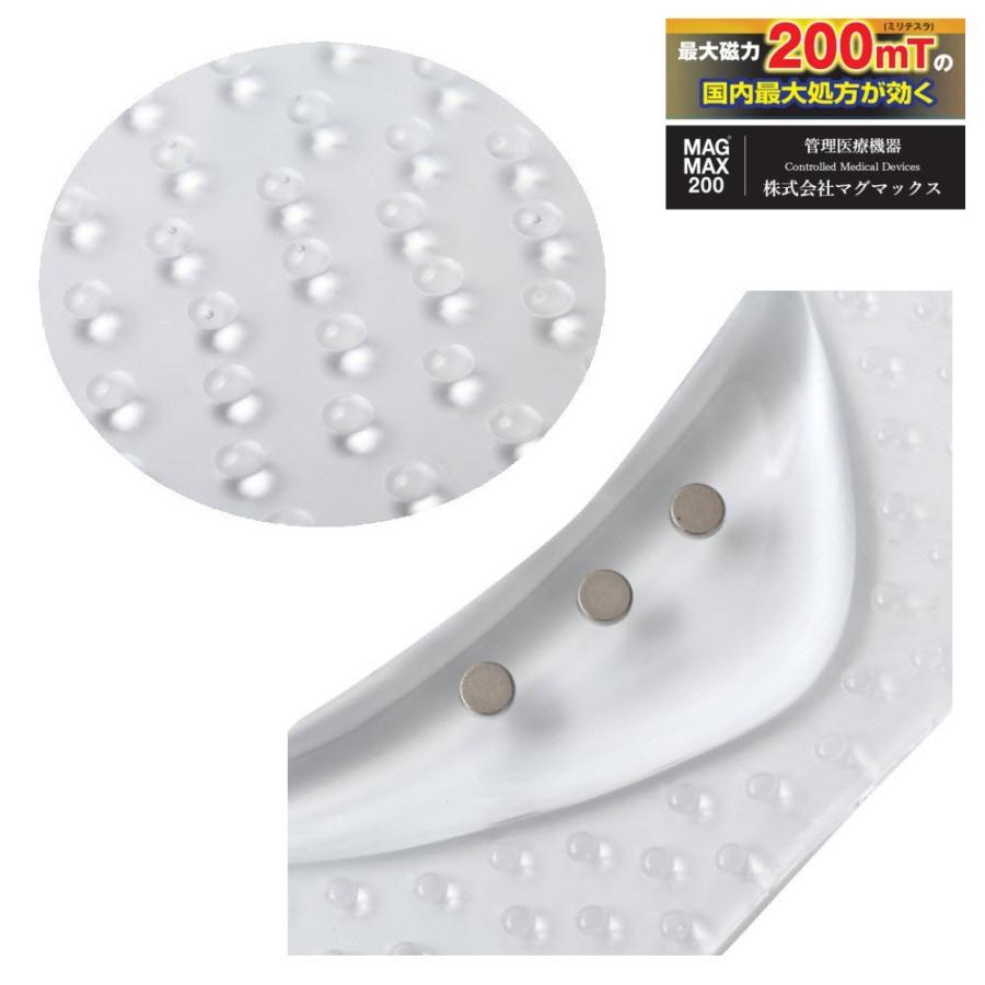 とっておきし新春福袋 送料無料 マグマックスインソール マグネットケア Magmax0 足裏に優しく がまんできない土踏まずのコリに効く 女性用 Wantannas Go Id