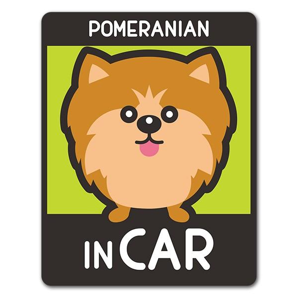 車ステッカー ポメラニアン 選べる毛色全3種 POMERANIAN IN CAR ドッグ