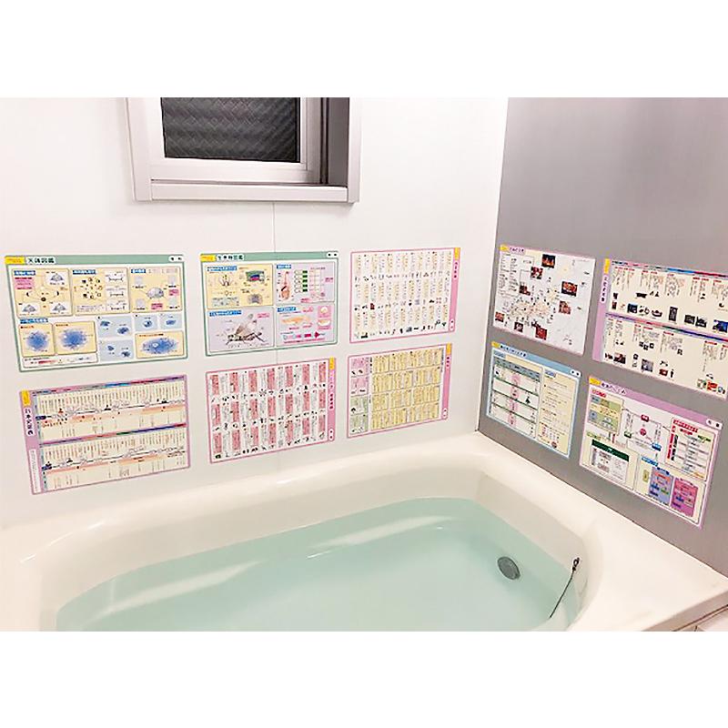 旺文社　お風呂ポスター中学受験シリーズ　新品８枚セット マグネットパーク×旺文社 知育マグネット お風呂ポスター 中学受験