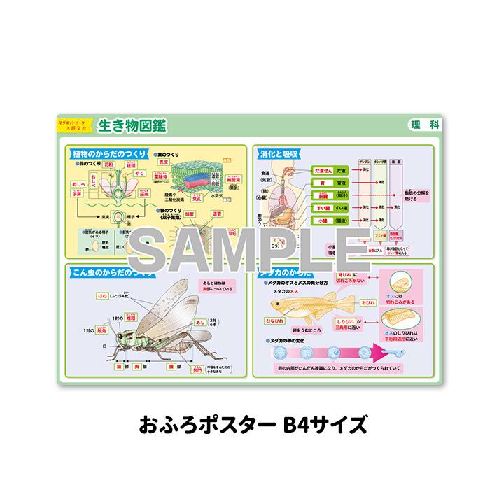 マグネットパーク×旺文社 知育マグネット お風呂ポスター 中学受験