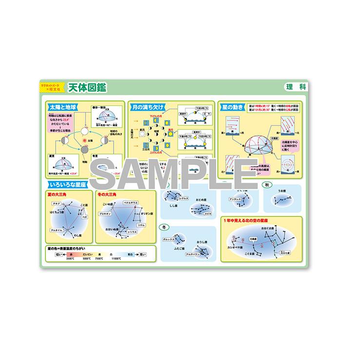 マグネットパーク×旺文社 知育マグネット お風呂ポスター 中学受験