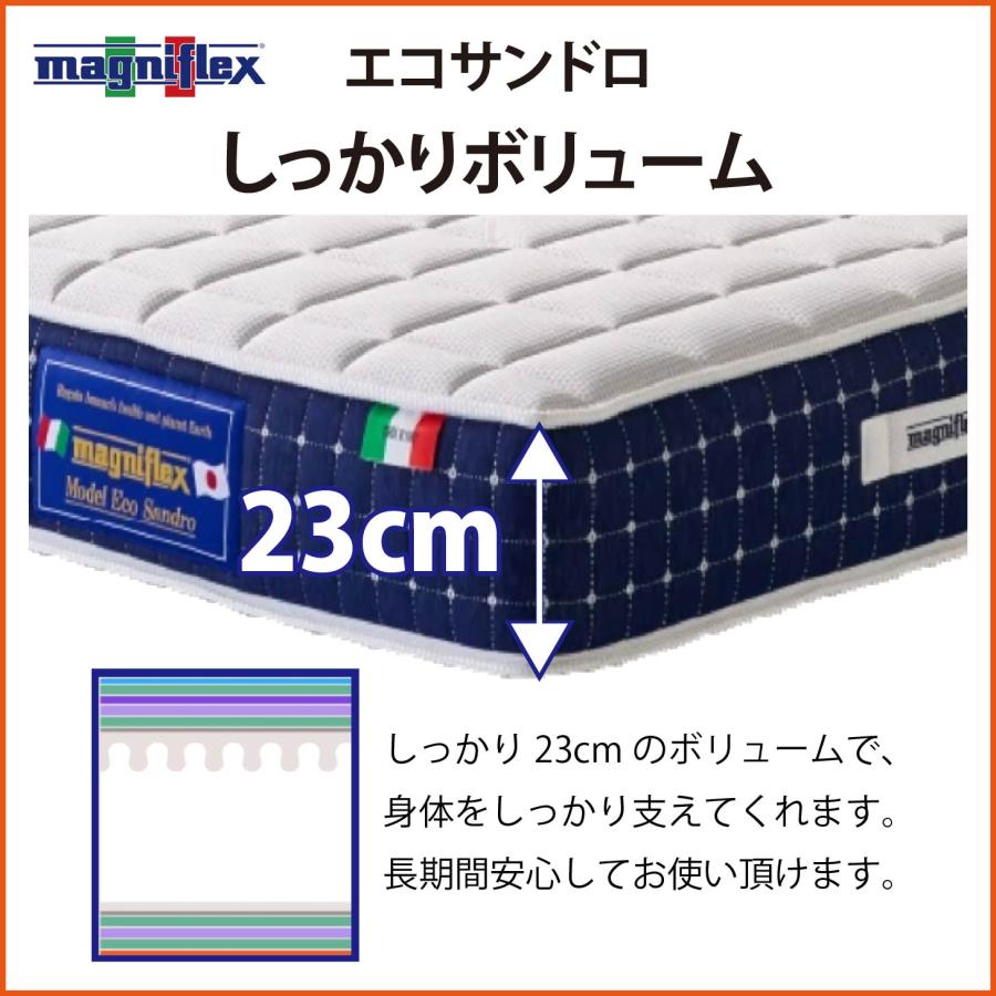 【マニフレックス】ベッドマットレス　ダブル magniflex マットレス ダブル 高反発 マニフレックス エコ