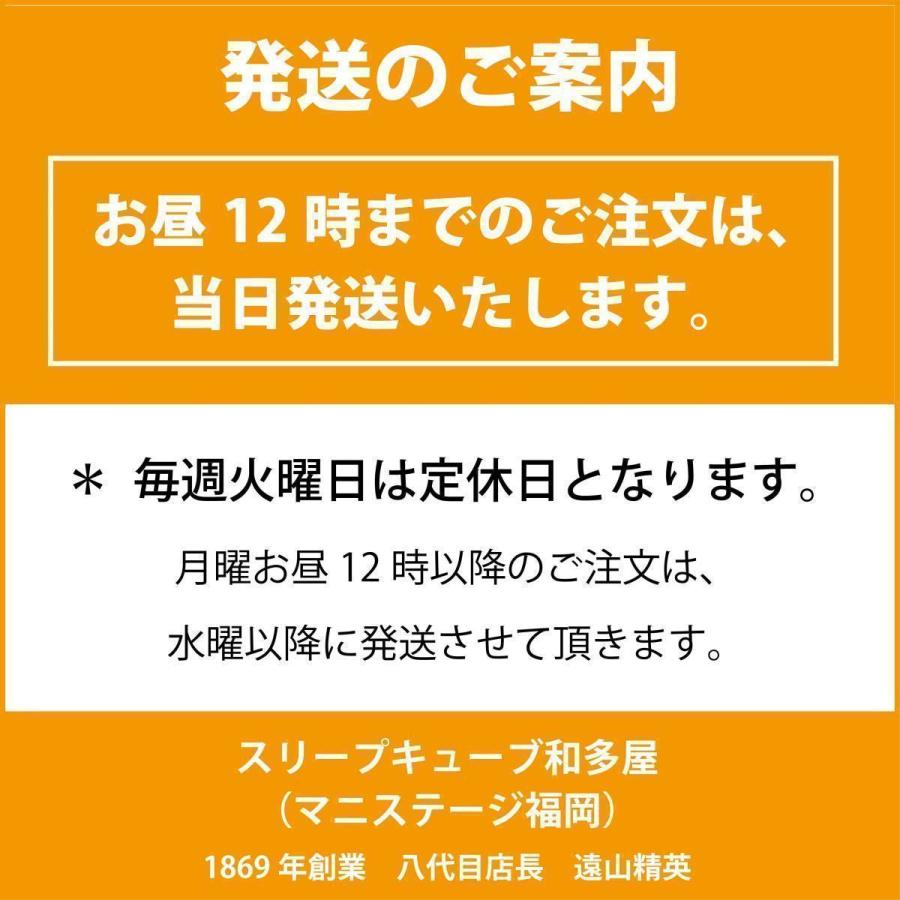 VIROBLOCK ヴィロブロックウィング シングル 高反発 メッシュウイング