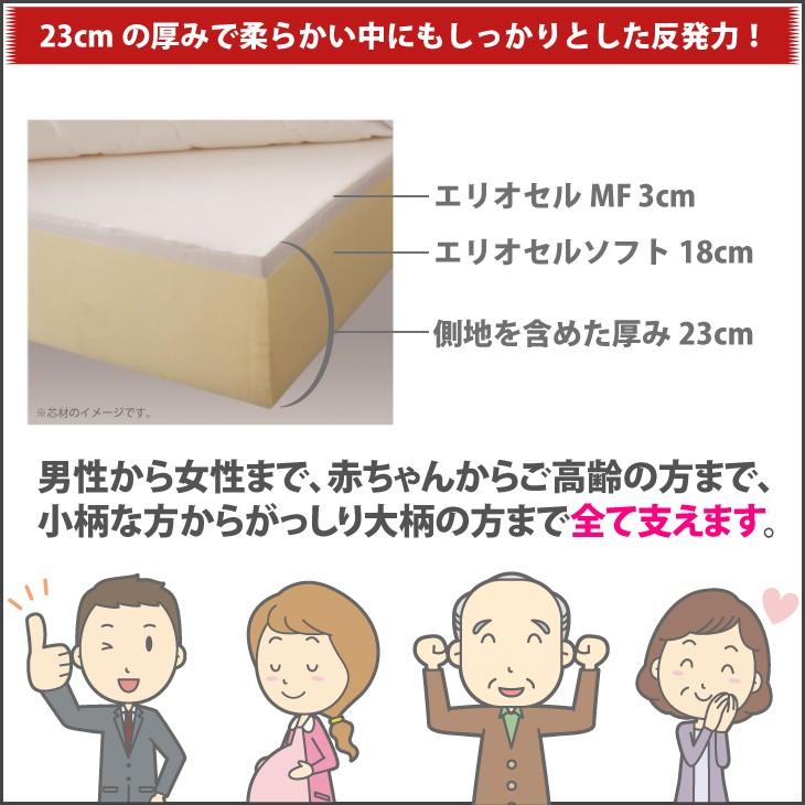マニフレックス T75 ダブル マットレスの画像