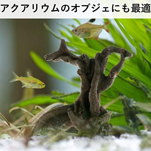 heizi 爬虫類 登り木 流木 隠れ家 水槽 テラリウム アクアリウム 装飾 オブジェ ヘビ トカゲ メダカ 熱帯魚 (15cm×13cm×7cm)｜mago8go8｜03