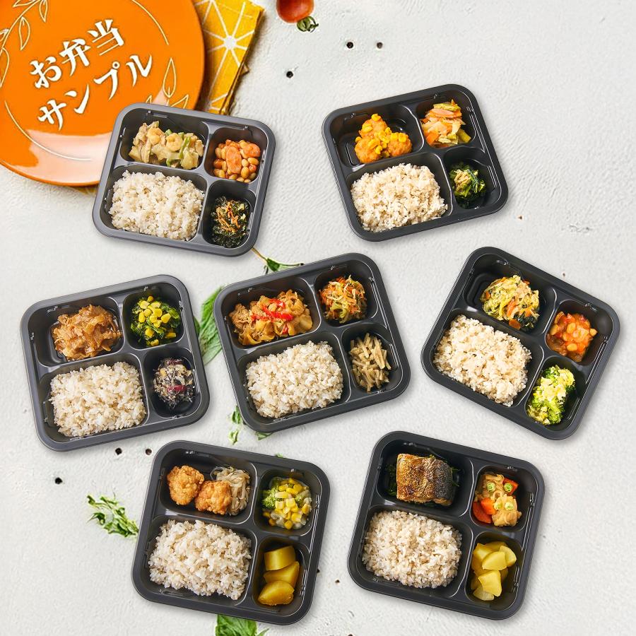 まごころケア食 ご飯付き 10食 冷凍弁当 お試し 安い ご飯セット お米