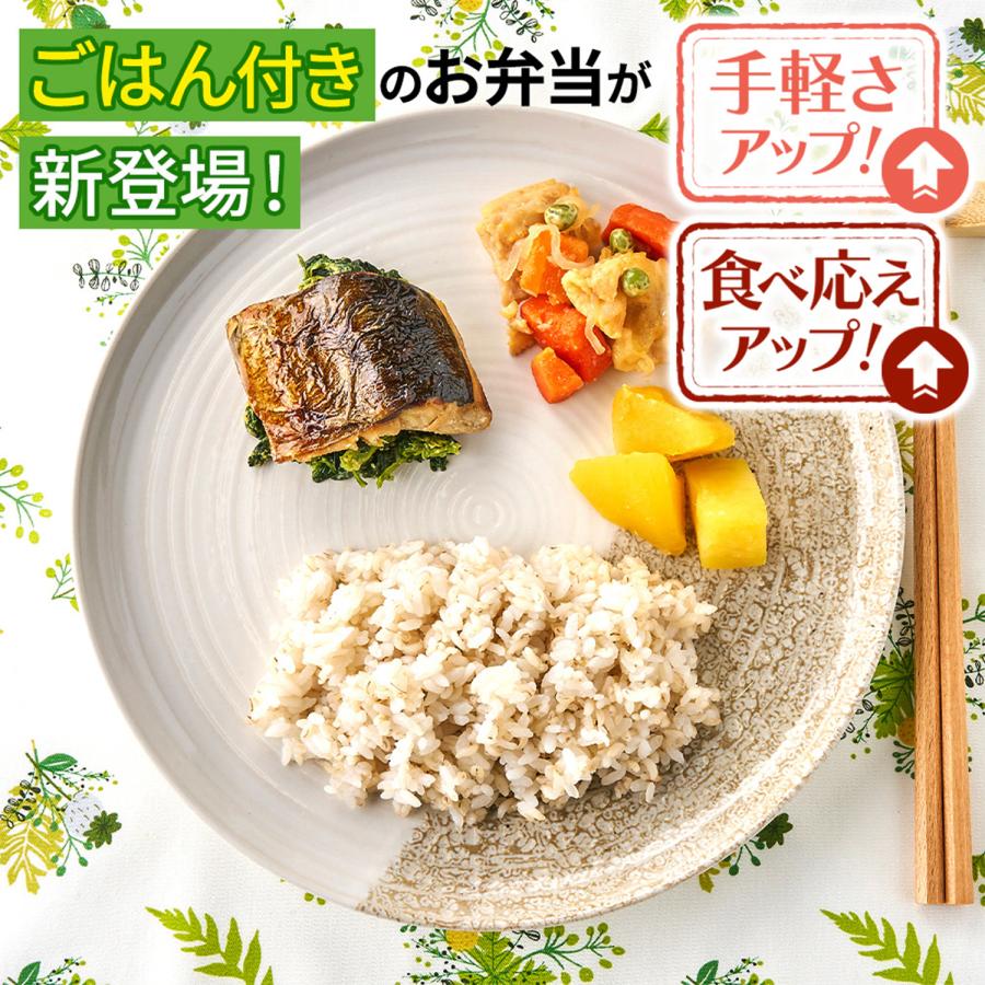 まごころケア食 ご飯付き 10食 冷凍弁当 お試し 安い ご飯セット お米