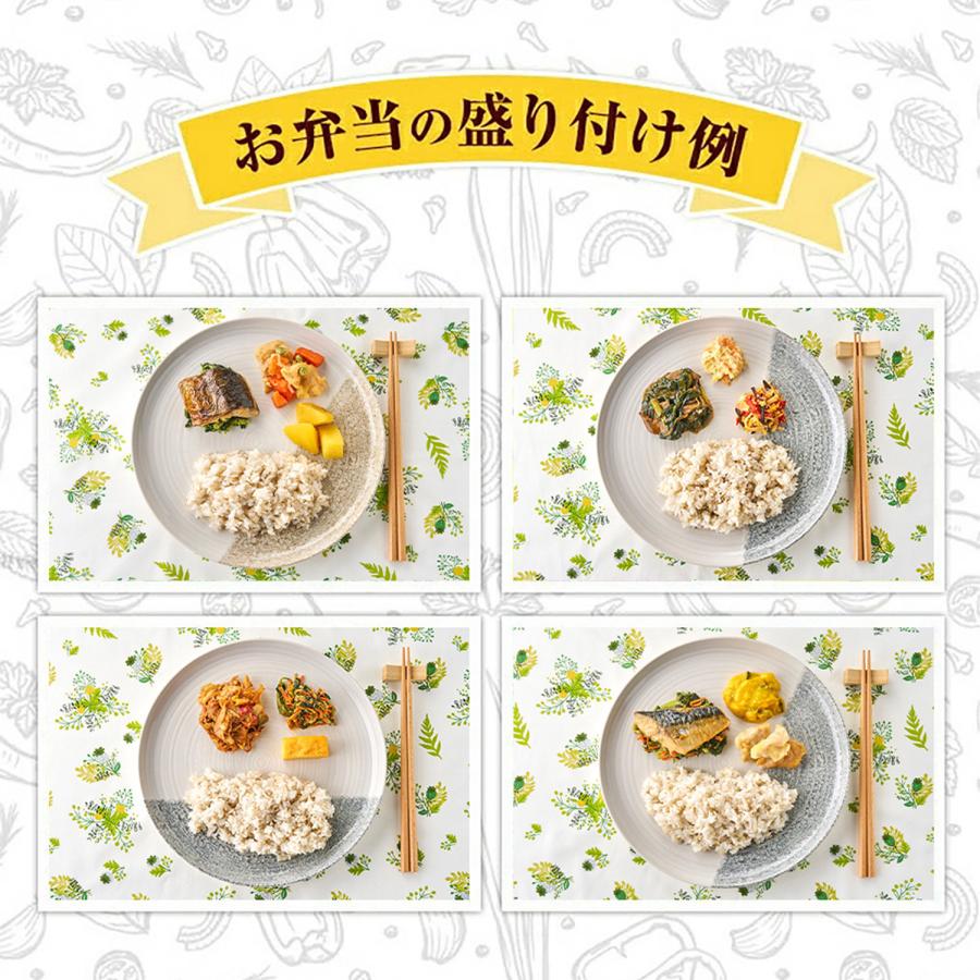 まごころケア食 ご飯付き 21食 冷凍弁当 お試し 安い ご飯セット お米