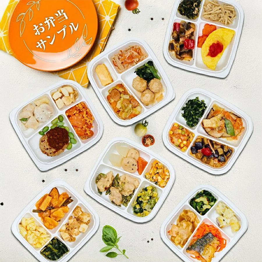 まごころケア食 たんぱく調整食 21食 冷凍弁当 お試し 安い おかずのみ