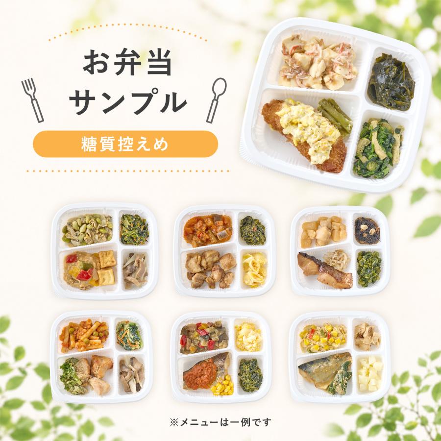 まごころケア食 【爆買WEEK限定P10倍】糖質制限食 21食 冷凍弁当 お