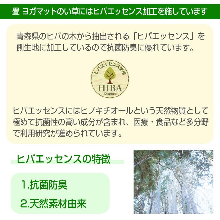 イケヒコ 畳 ヨガマット い草 国産 60×180 6mm ネイティブ柄 桜富士柄