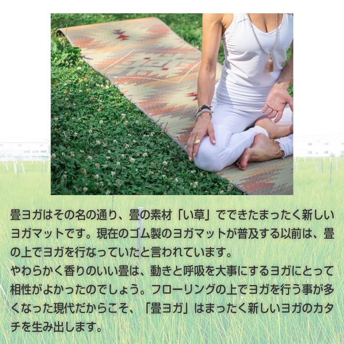 イケヒコ 畳 ヨガマット い草 国産 60×180 6mm ネイティブ柄 桜富士柄