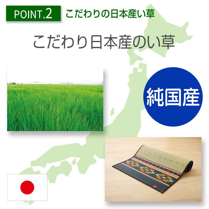 イケヒコ 畳 ヨガマット い草 国産 60×180 6mm ネイティブ柄 桜富士柄