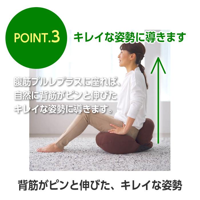 MIZUNO（ミズノ） エクササイズ座椅子 腹筋プルレプラス ブラウン