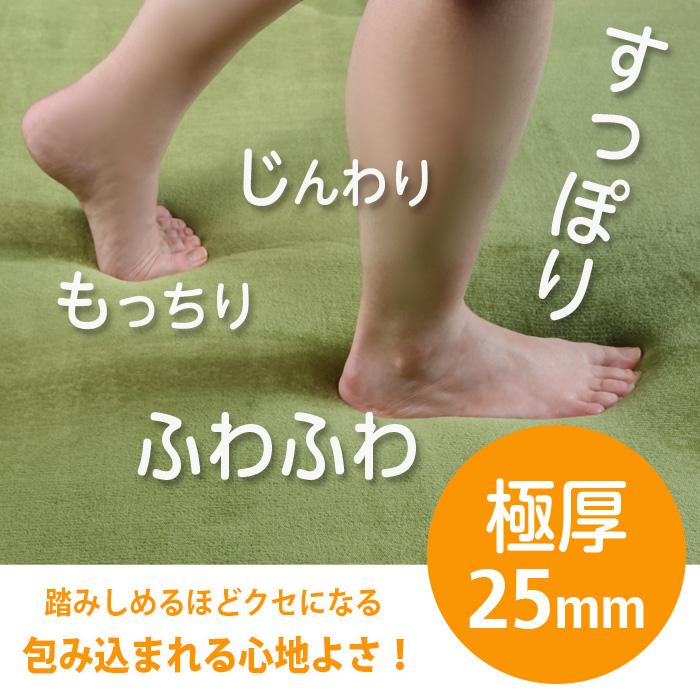 極厚 ラグ カーペット 3畳 190×240 厚手 25mm 無地 フランネル 洗える