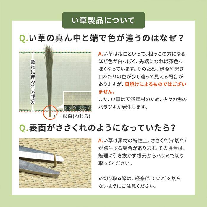 置き畳 綾川 （あやかわ） 約82×82×2.5cm 9枚入 【同色9枚セット】 縁