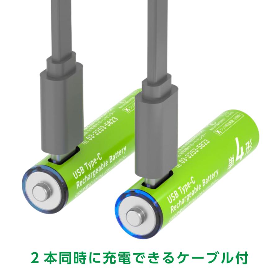 HIDISC 乾電池型 Type-C 充電池 単4形 2本セット HD-LIB3A2PC 6ヶ月
