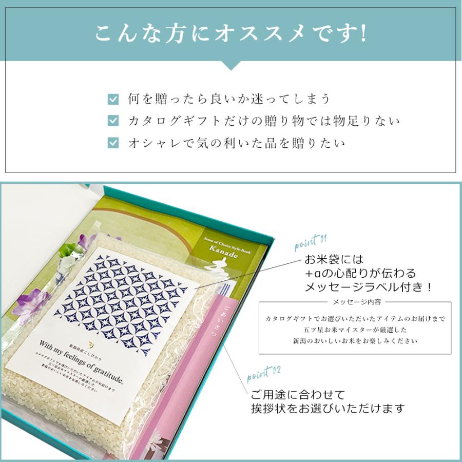 入学内祝い お米 新潟県産 こしひかり ＆ カタログギフト セット 奏 海原 50900円コース メール便 米 お返し 新築祝い 香典返し 結婚内祝い お祝い 出産内祝い