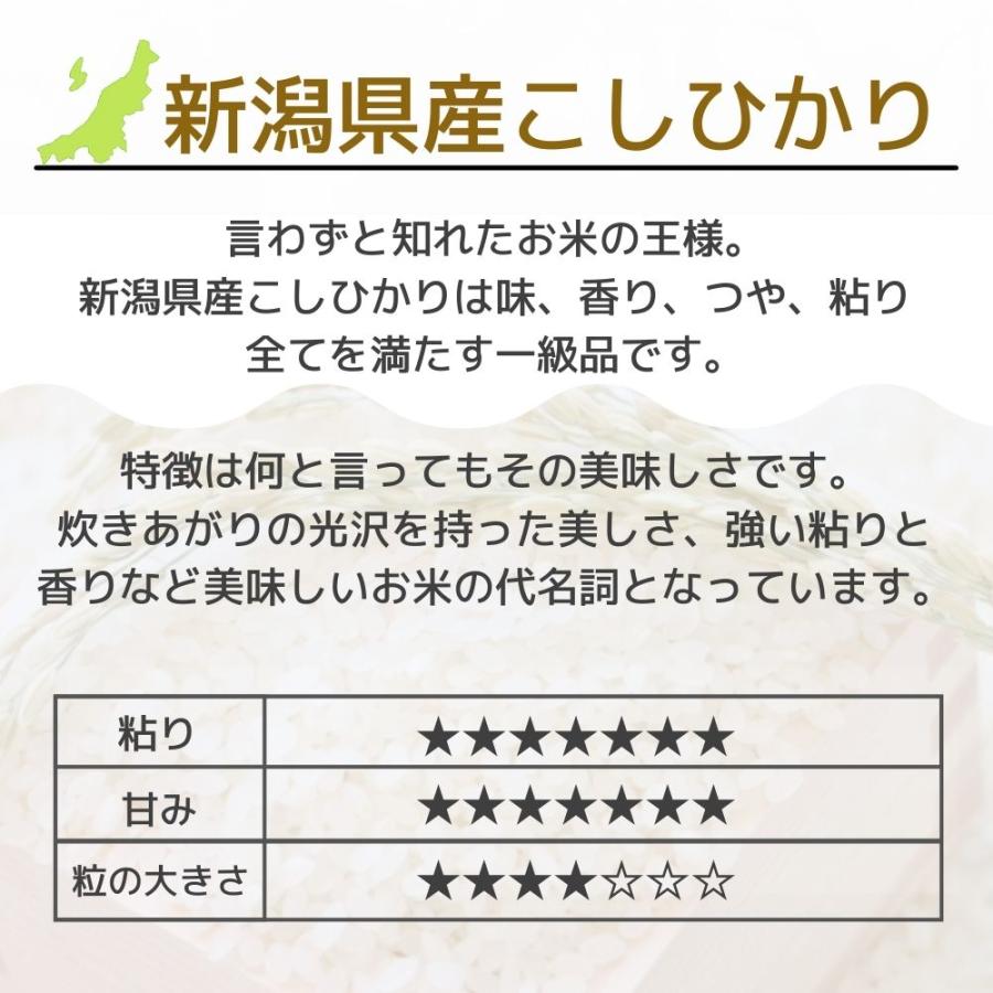 入学内祝い お米 新潟県産 こしひかり ＆ カタログギフト セット 奏 海原 50900円コース メール便 米 お返し 新築祝い 香典返し 結婚内祝い お祝い 出産内祝い
