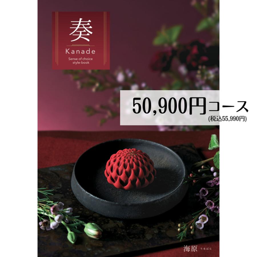 入学内祝い お米 新潟県産 こしひかり ＆ カタログギフト セット 奏 海原 50900円コース メール便 米 お返し 新築祝い 香典返し 結婚内祝い お祝い 出産内祝い