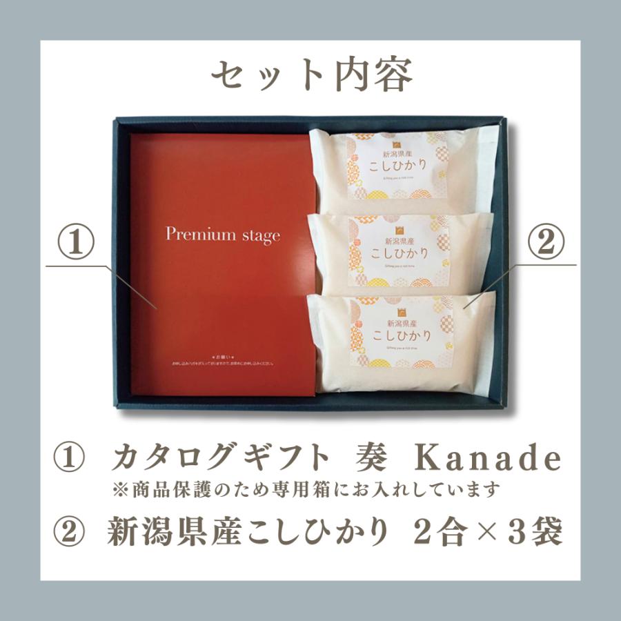 父の日 お中元 内祝い お米 新潟県産 こしひかり ＆ カタログギフト セット 奏 白波 10900円コース 米 お返し 香典返し 結婚内祝い 出産祝い お祝い 出産内祝_4