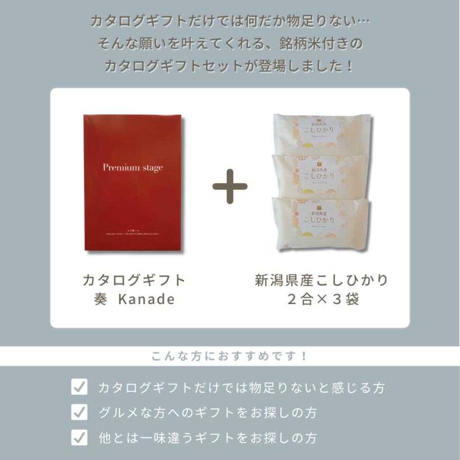 父の日 お中元 内祝い お米 新潟県産 こしひかり ＆ カタログギフト セット 奏 白波 10900円コース 米 お返し 香典返し 結婚内祝い 出産祝い お祝い 出産内祝_6