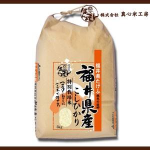 お米 5kg 福井県武生産コシヒカリ 令和５年産 新米 減農薬特別栽培米｜magokoro-kome