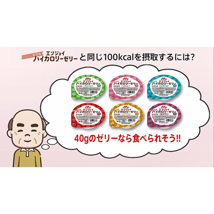 最も 栄養補助食品 介護食 森永乳業 40gX24個入 いろいろセット 高カロリーゼリー（100kcal） クリニコ エンジョイ小さなハイカロリーゼリー  介護食品