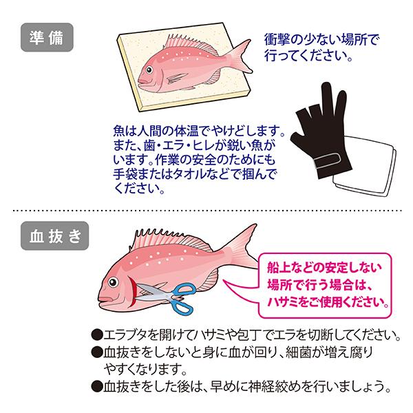 ルミカ 神経締め 60cm 神経絞め セット ミディアム 形状記憶合金 ワイヤーキット Lumica0006 まごころサービス 通販 Yahoo ショッピング
