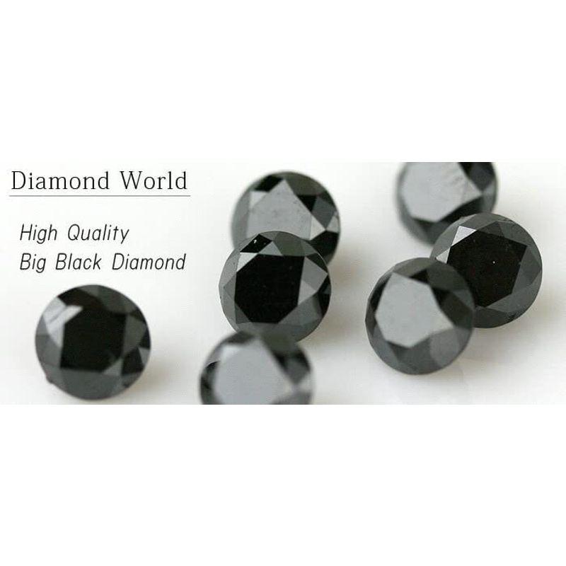 DIAMOND WORLD レディース ジュエリー PT900 ブラックダイヤモンド ピアス 1.0ct 6本爪タイプ